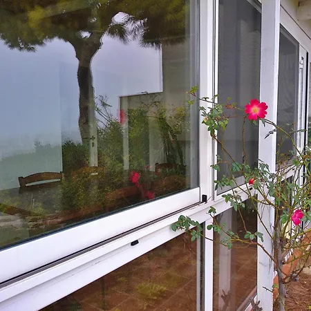 Relax Appartamento *